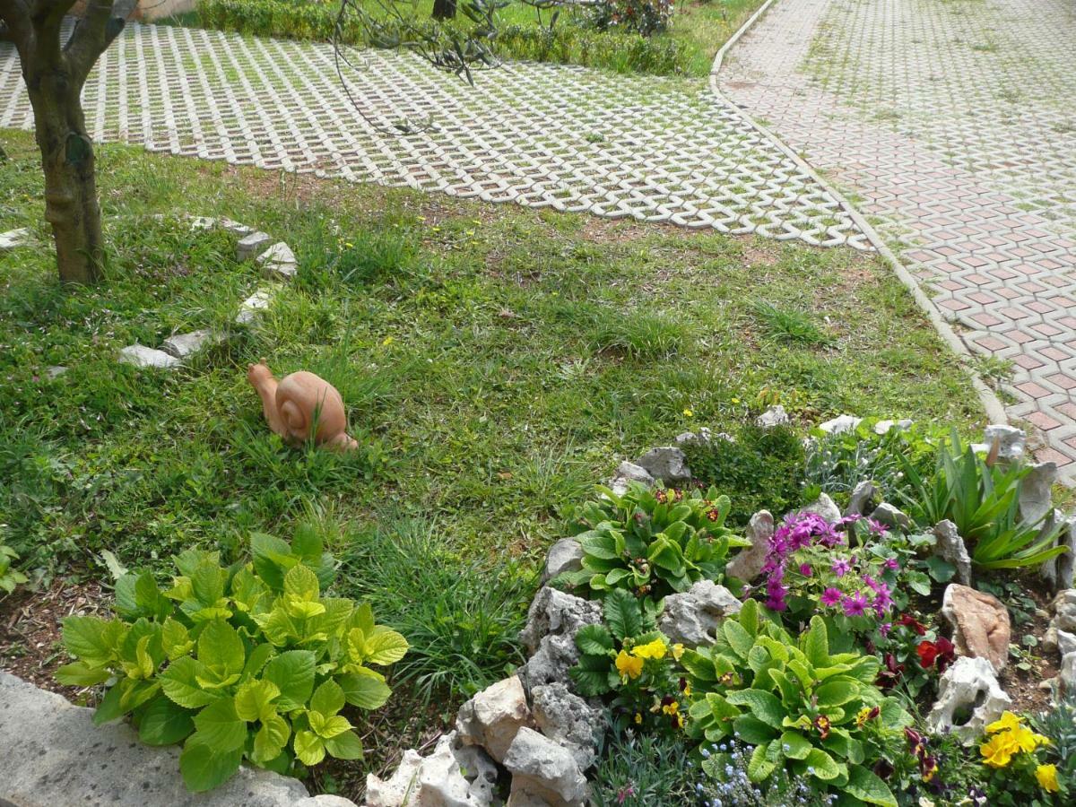Villa Niceta Zadar Eksteriør bilde